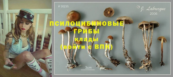 дживик Баксан