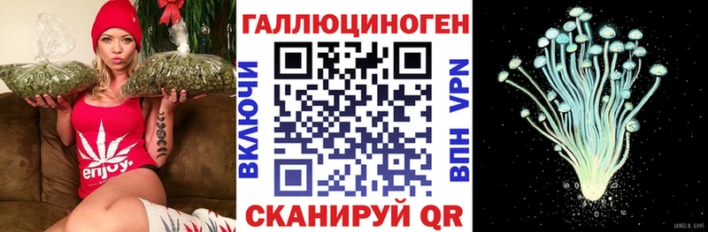 Галлюциногенные грибы Psilocybine cubensis  купить   Мичуринск 