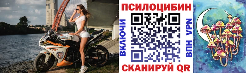 Псилоцибиновые грибы Cubensis Мичуринск