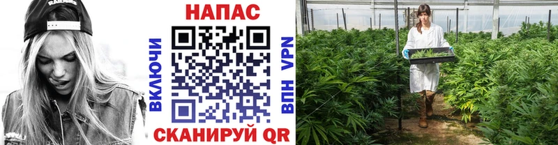 Бошки Шишки ГИДРОПОН  Мичуринск 